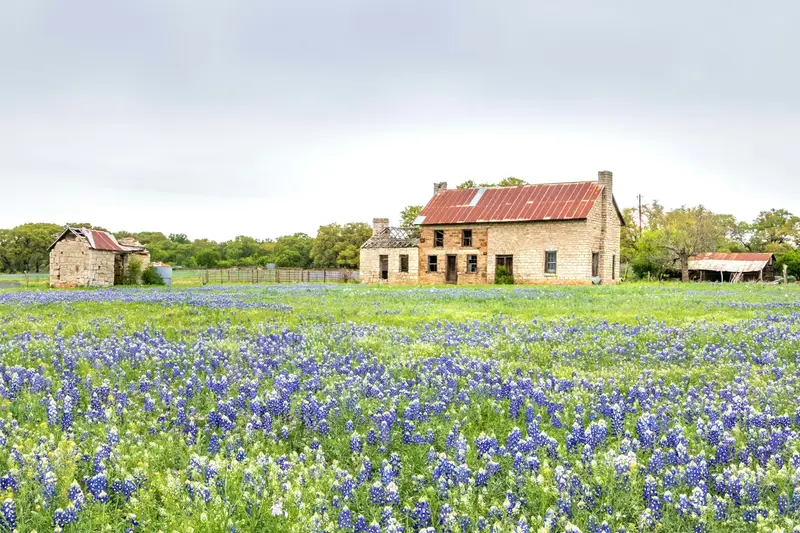 Home in Texas